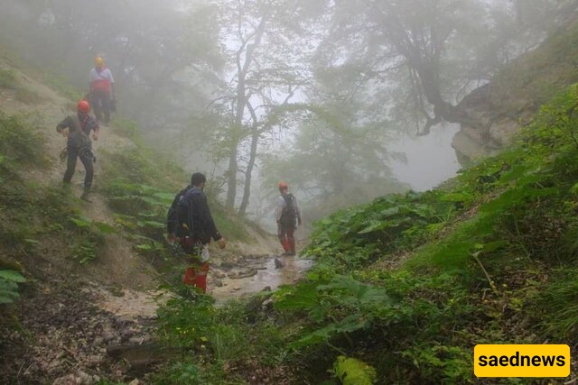 Shocking Details Emerge About the Disappearance of 12 Tourists on a Mysterious Route + Full Report